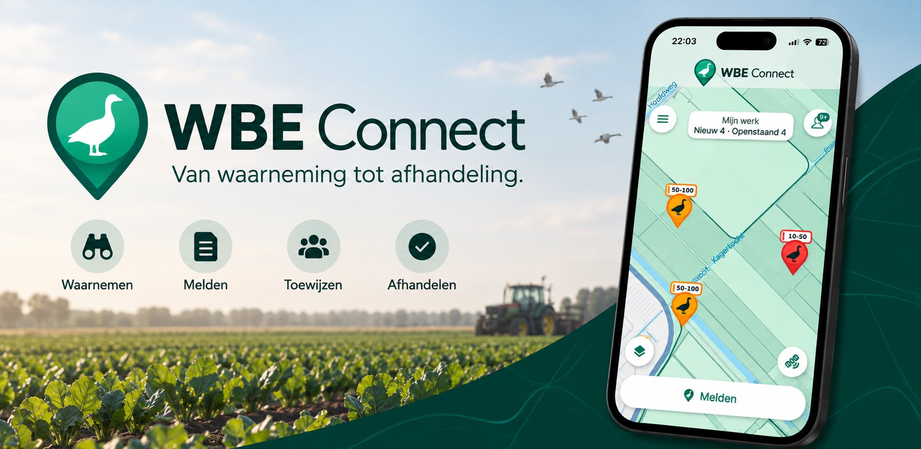 WBE Connect op het veld met het appscherm en de stappen waarnemen, melden, toewijzen en afhandelen